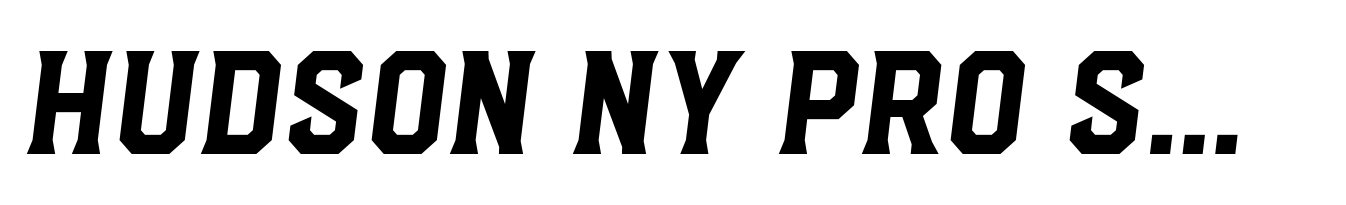 Hudson NY Pro Serif Semi Bold Itl